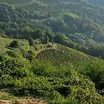 Casa Levi Bistagno