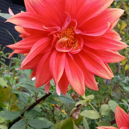 Casa Levi Couette-café