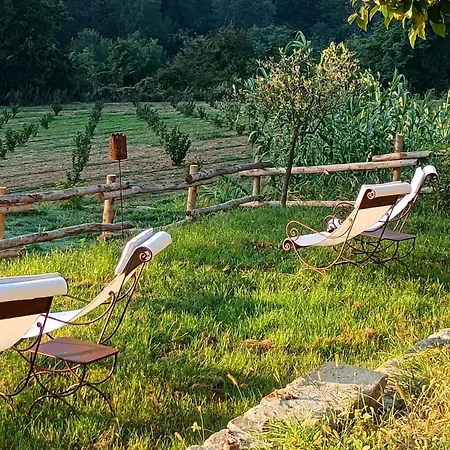 Bed & Breakfast Casa Levi