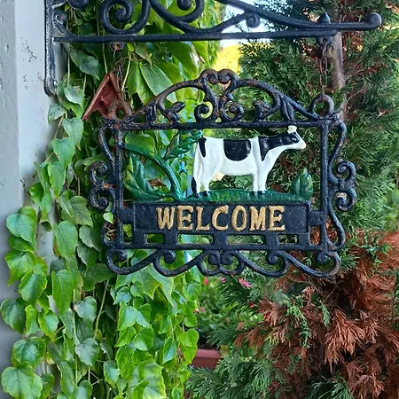 Casa Levi Отель типа 